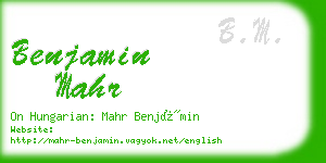 benjamin mahr business card